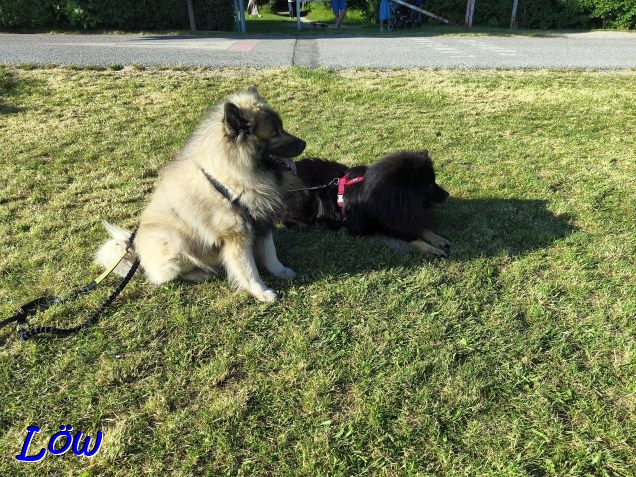 21.6.2025 - Beobachter des Spektakels